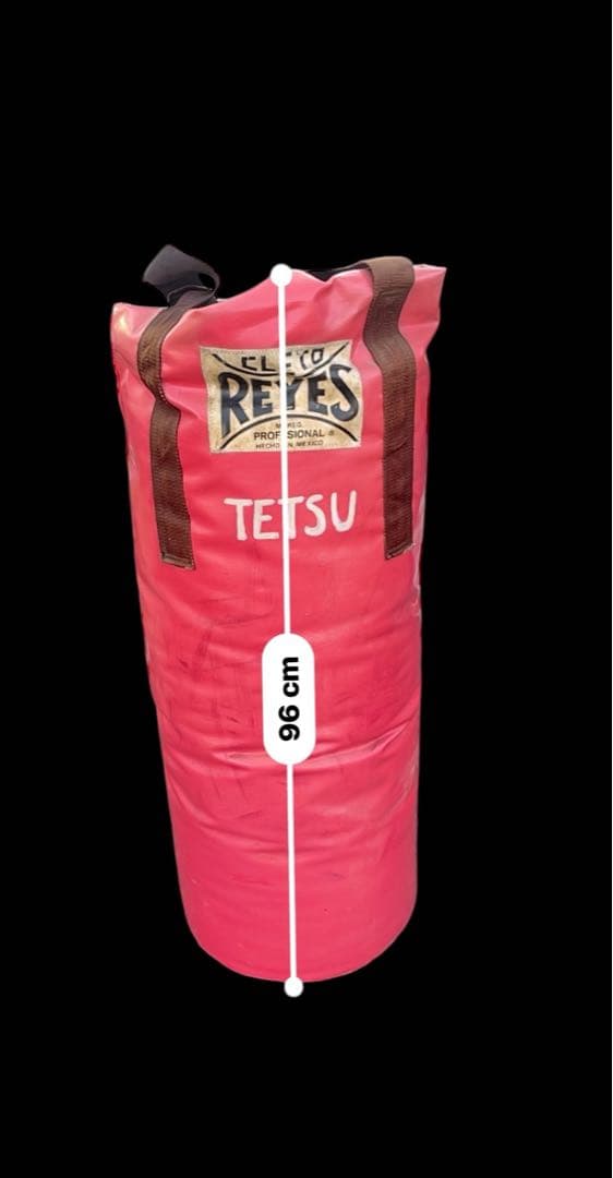 Reyes レイジェスサンドバッグ