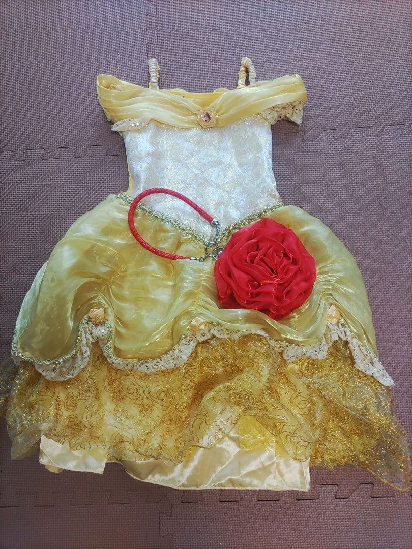 ベル　バック付き　美女と野獣　ビビディ