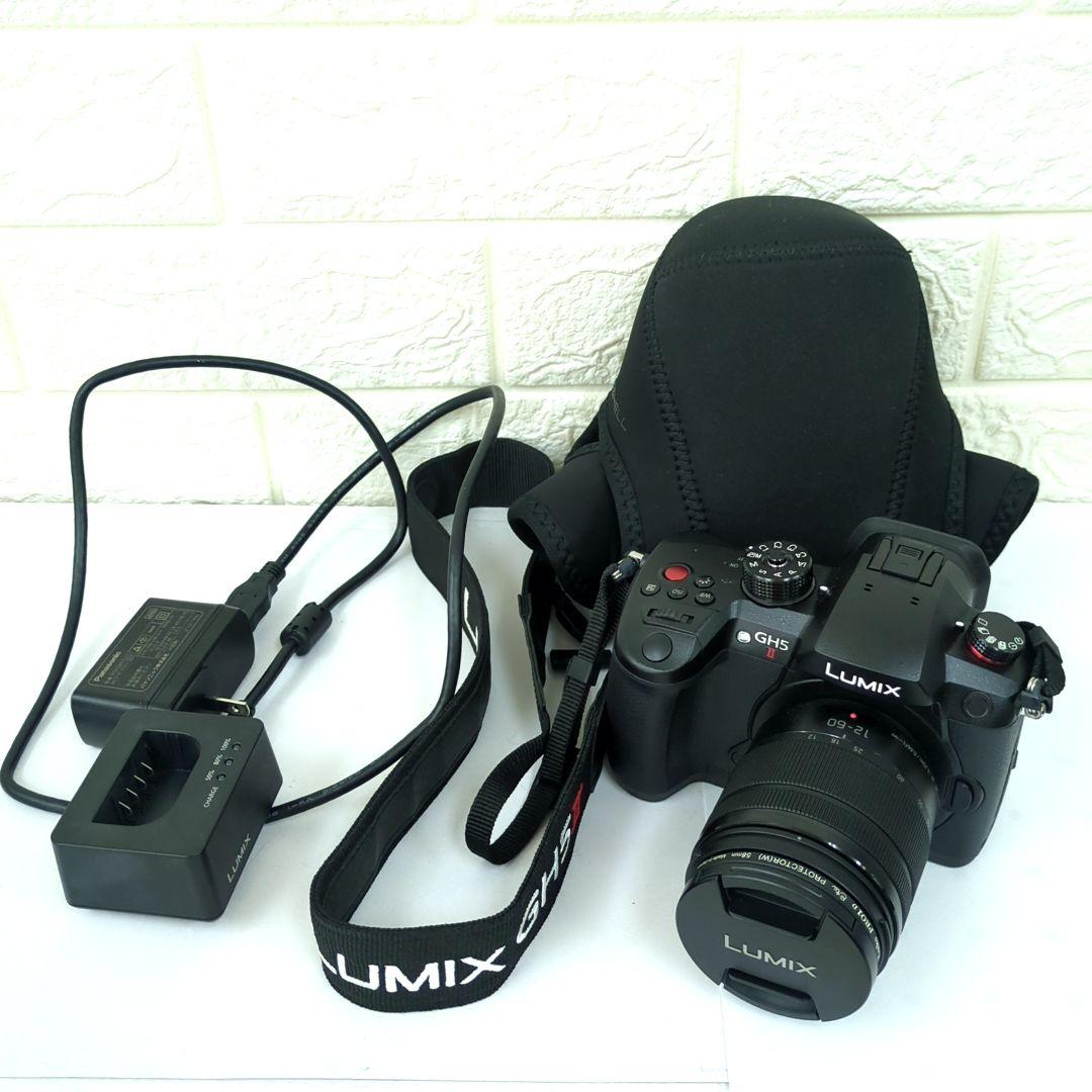 パナソニック ミラーレス一眼カメラ ルミックス GH5M2 レンズキット 高倍率