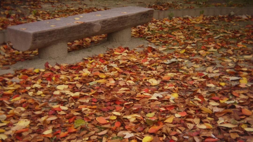 【写ルンです感覚のコンデジ】LUMIX DMC-GF3 32mm スマホ転送OK