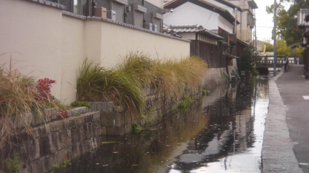 【写ルンです感覚のコンデジ】LUMIX DMC-GF3 32mm スマホ転送OK