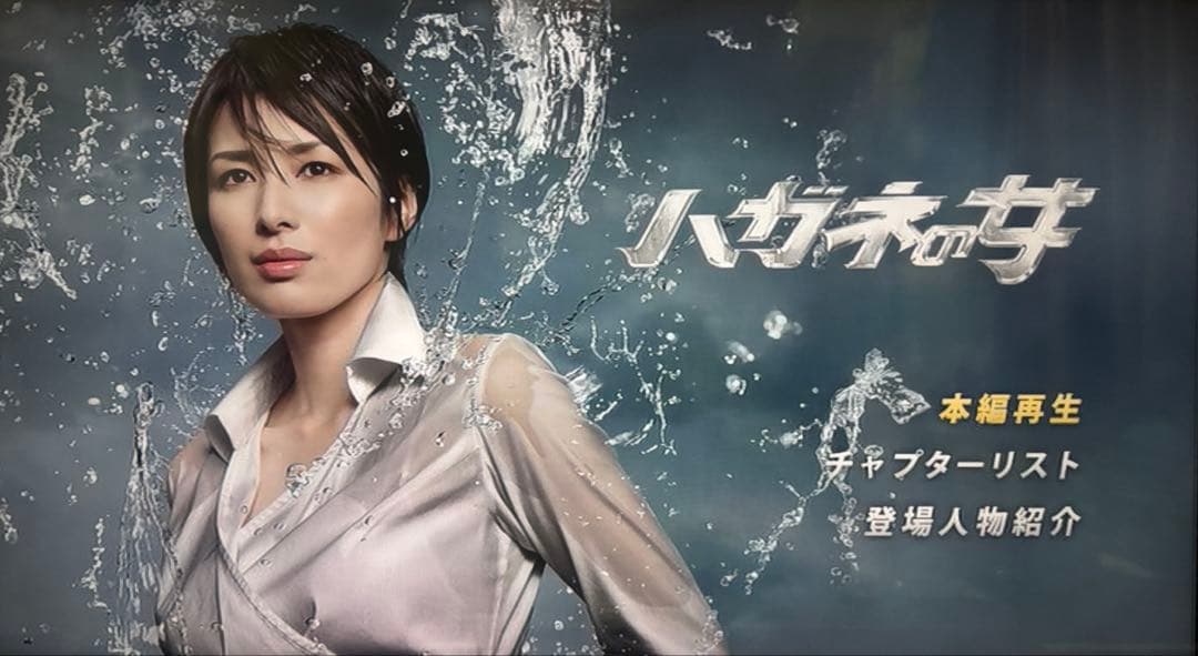 ハガネの女 DVD-BOX〈4枚組〉