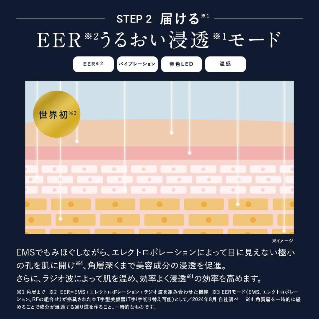 【美品】DISM ディズム EMS EER メディスキンケアデバイス