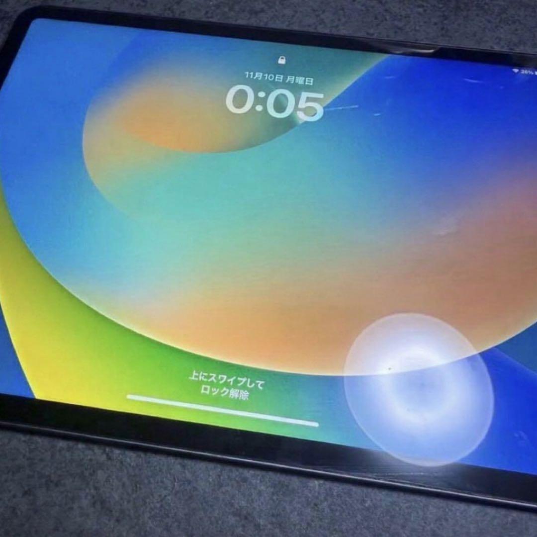 美品！ iPad Pro 11インチ 第一世代 64GB 本体のみ 第1世代