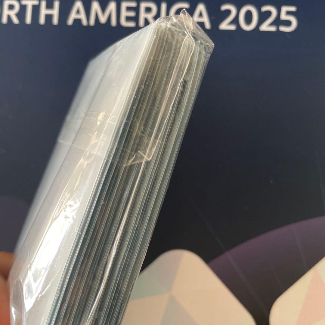 【1/16値下げ】ポケモンカードゲーム　デッキシールド　スリーブ　ルチア