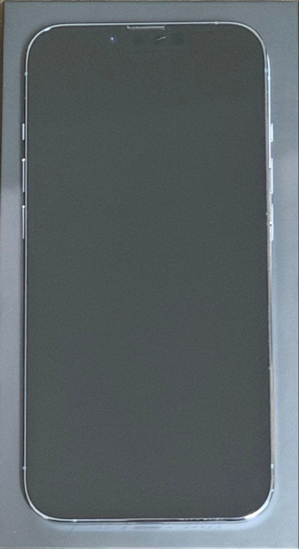 Apple iPhone 13 Pro シエラブルー SIMフリー 128GB