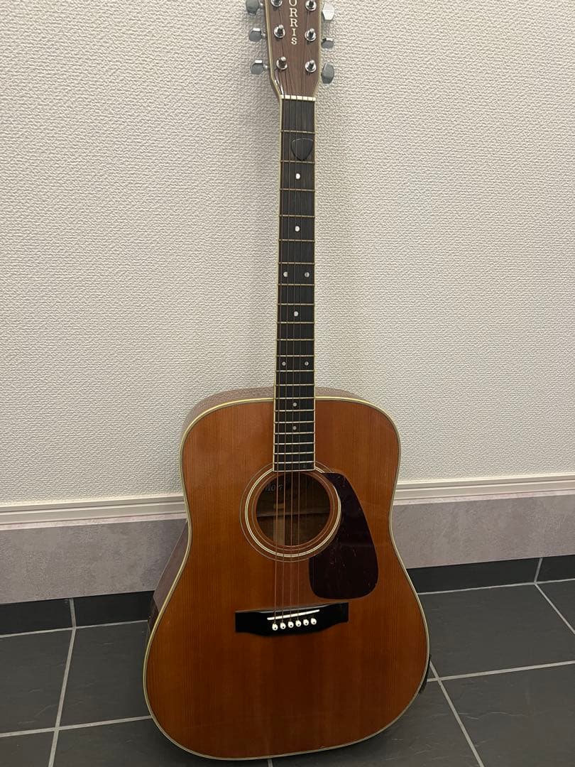 Morris TF-50T アコースティックギター サンバースト