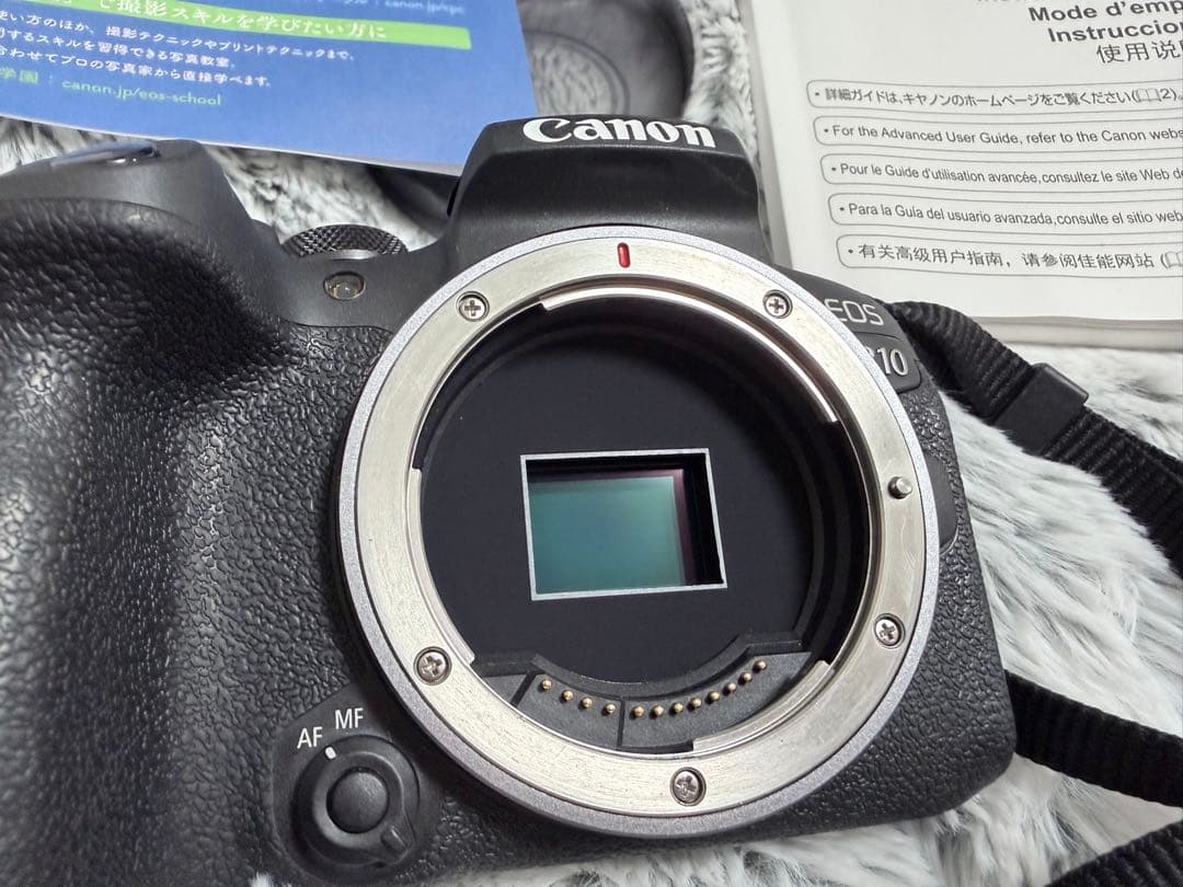 龍*大様 Canon EOS R10 レンズキット