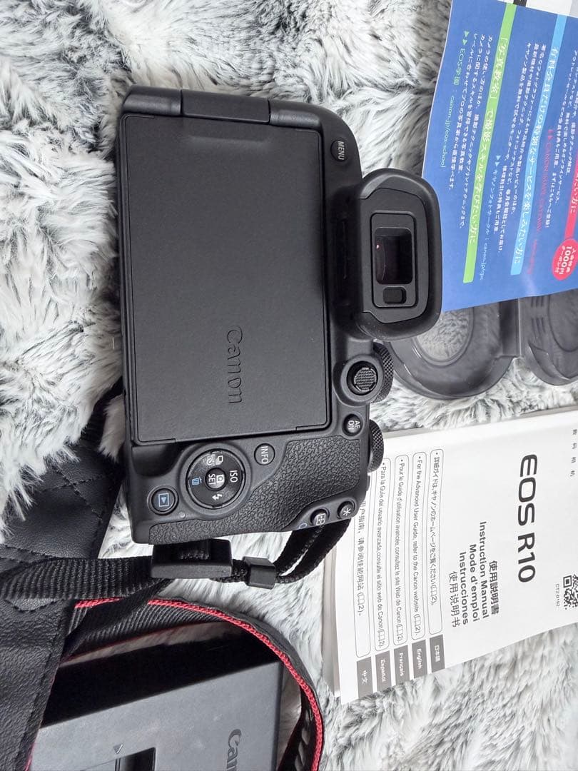 龍*大様 Canon EOS R10 レンズキット