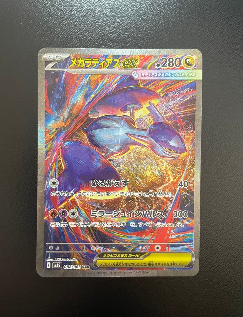 たまみ　次回発送23日様 リクエスト 2点 まとめ商品