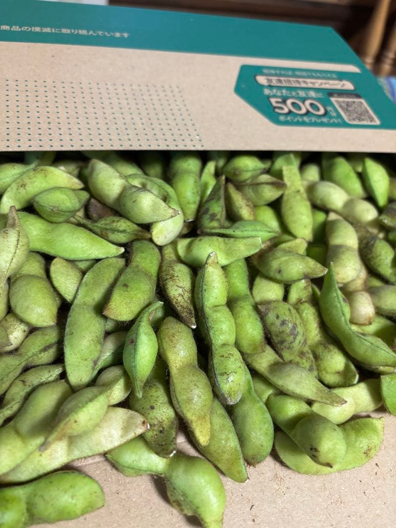 あ☆ゆ 5kg 丹波市産丹波黒大豆の枝豆