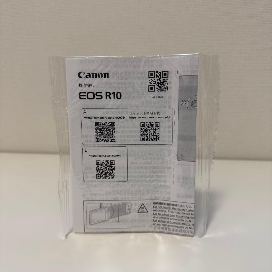 【極美品】Canon EOS R10 RF-S18-45 レンズキット