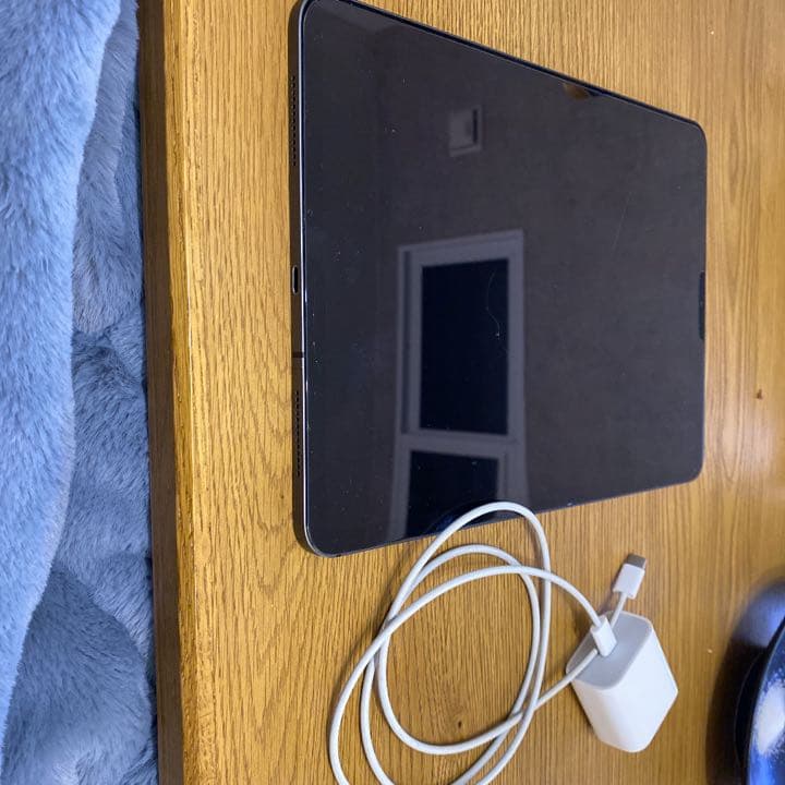 iPad Pro (第2世代)11インチ Liquid Retinaディスプレ…