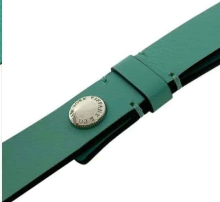 ティファニー レザー リード 犬用ティファニーブルー TIFFANY&Co.