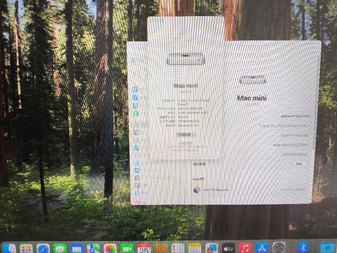 Macデスクトップ Mac mini 2014 i7 8GB 512GB SSD+1TB Dual