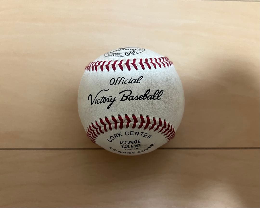 テ*ー様 ジームス　ピッチャー用グローブ　軟式用　グラブケース&おまけ付き！