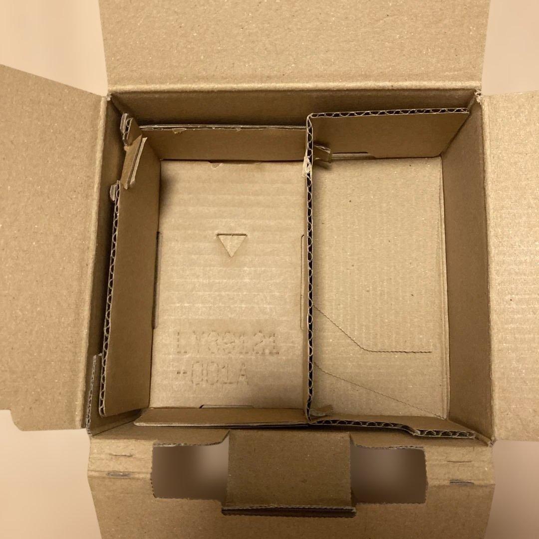 JVCケンウッド Everio GZ-R300