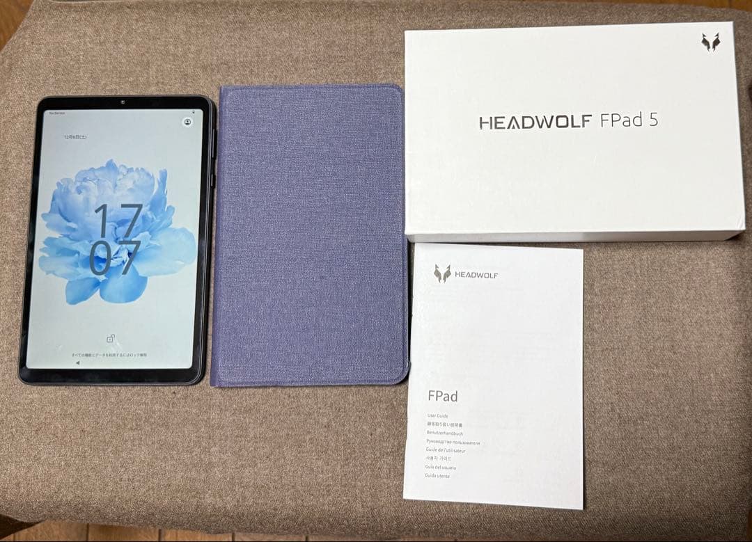 HEADWOLF FPad5 ケース付き