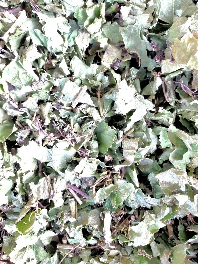 【陰干し自然乾燥　健康馬ブドウ茶】野ぶどう茶　１kg　発送日に新鮮袋詰め❗️