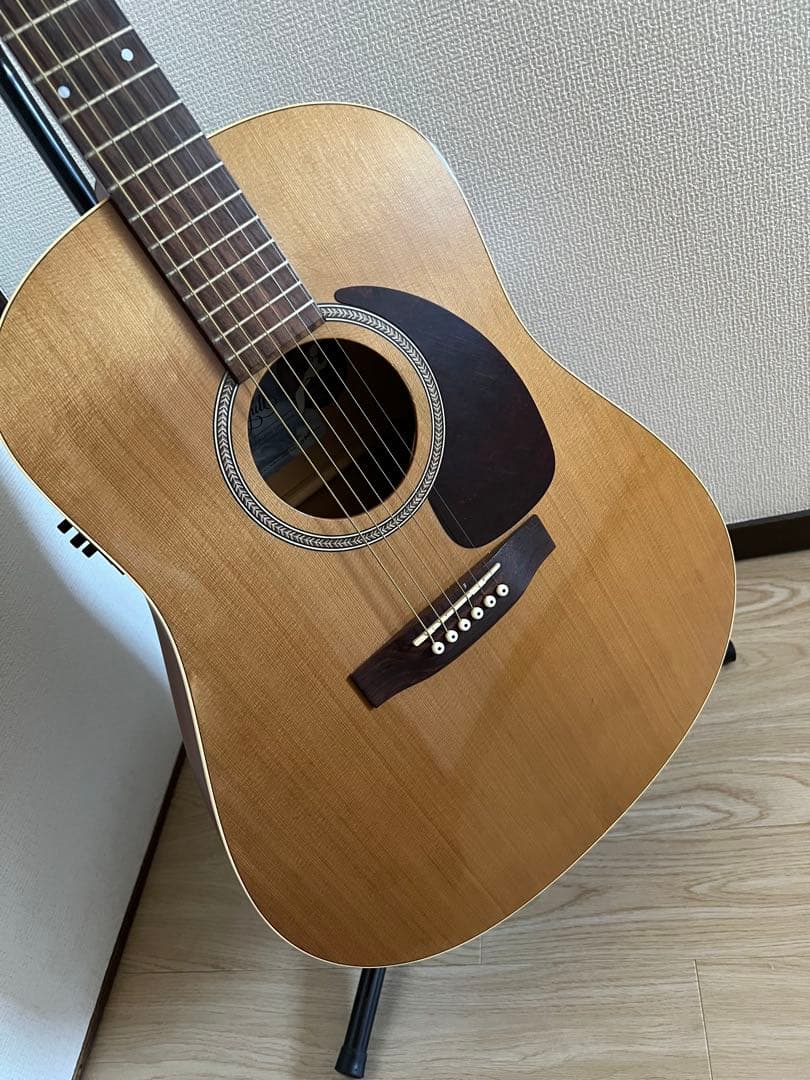 Seagull S6 + Cedar GT アコースティックギター