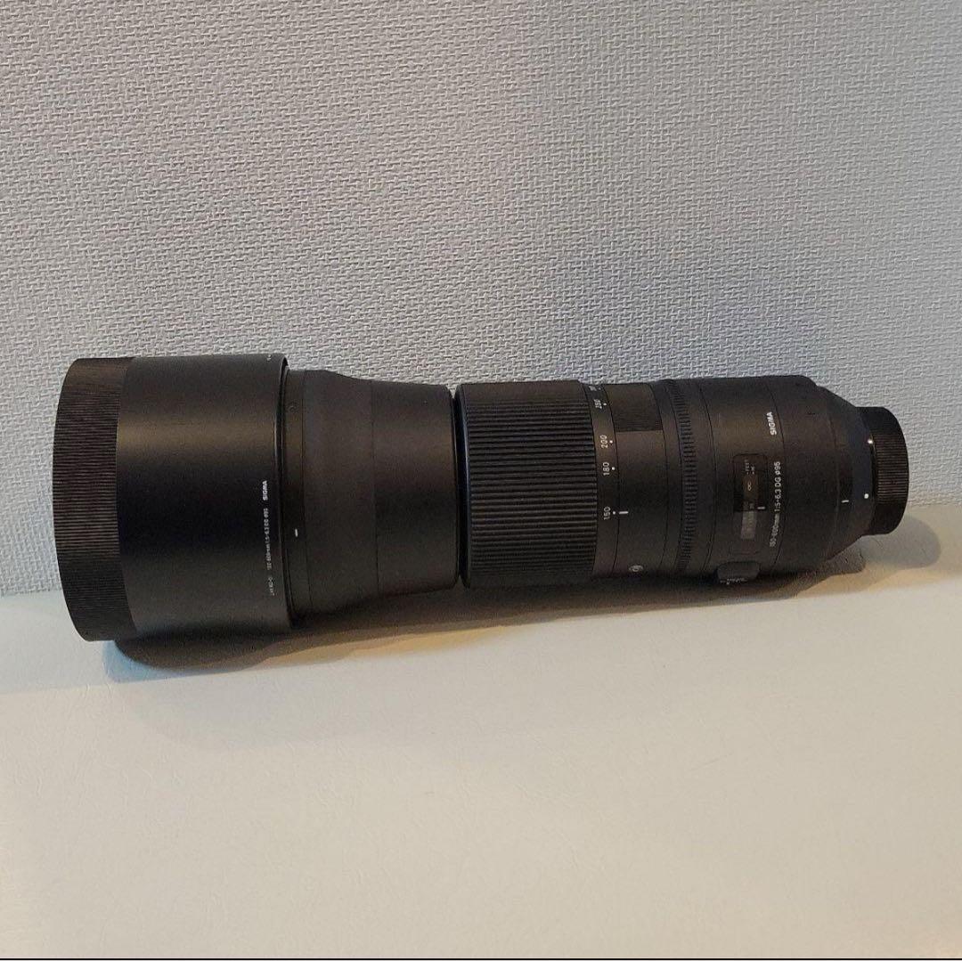 美品 FマウントSIGMA 150-600mm Contemporary ニコン