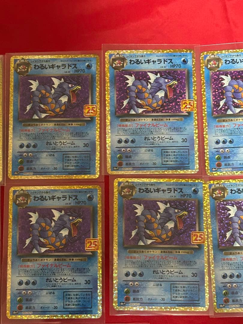 わるいギャラドス25th