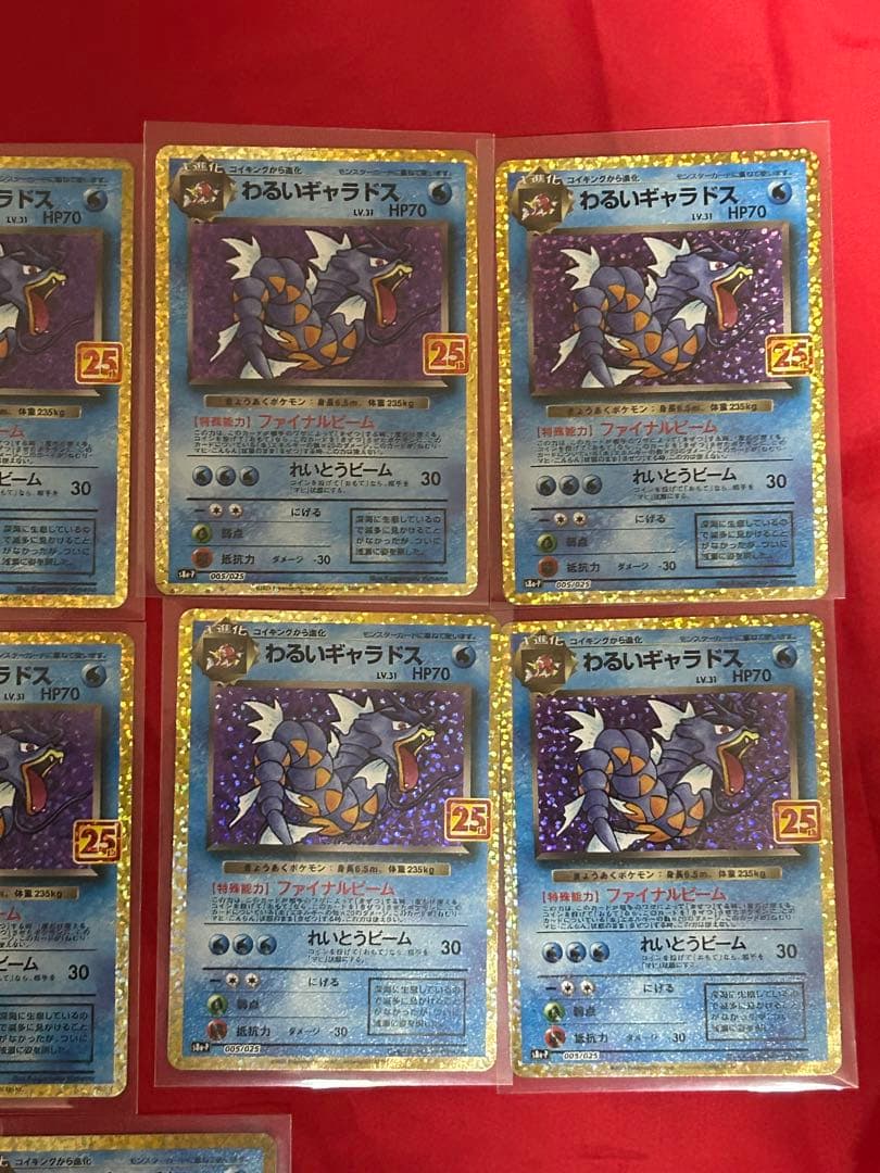 わるいギャラドス25th