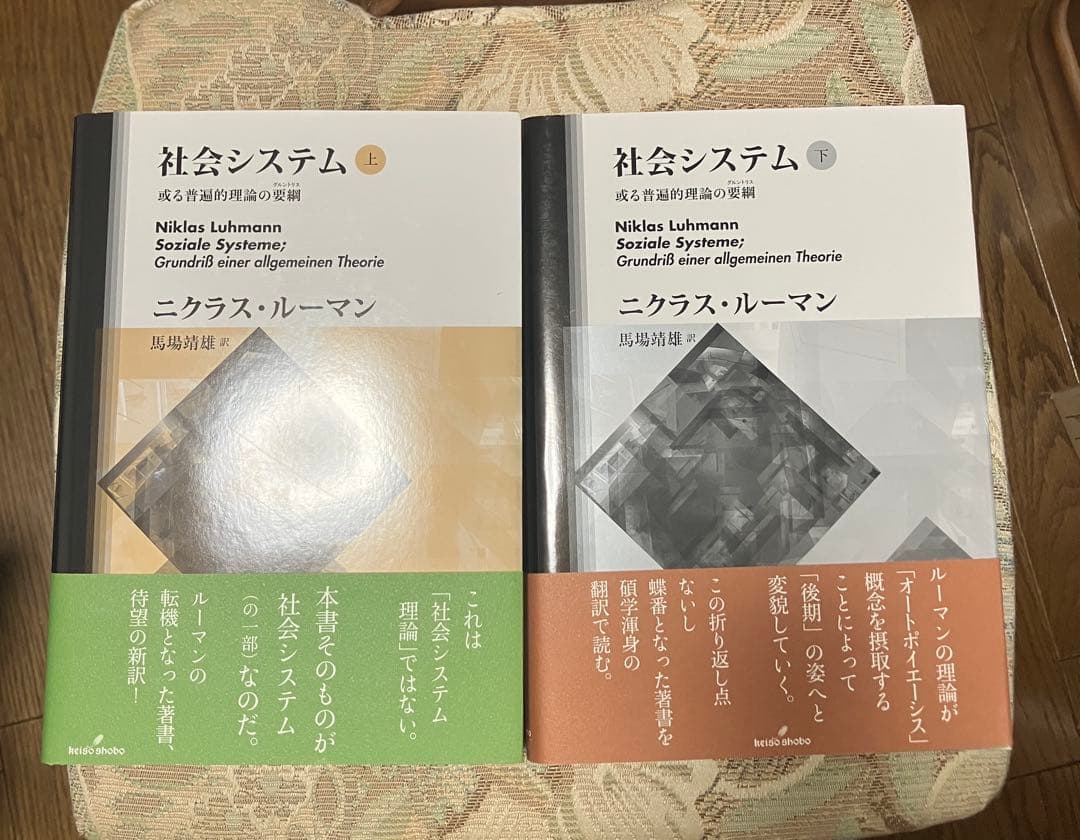 Has-A　社会システム 或る普遍的理論の要綱 上下セット