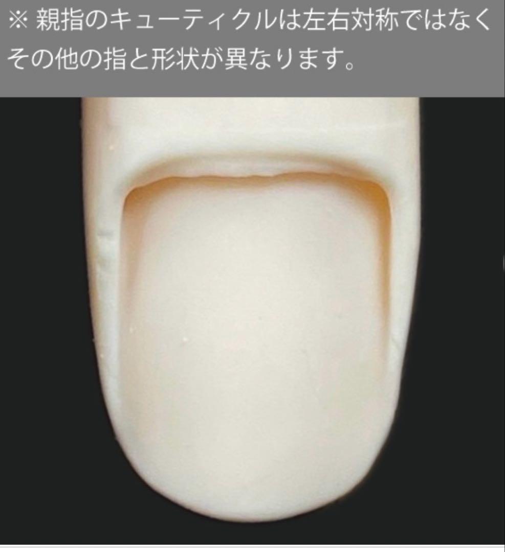 ネイリスト検定認定モデルハンドセット