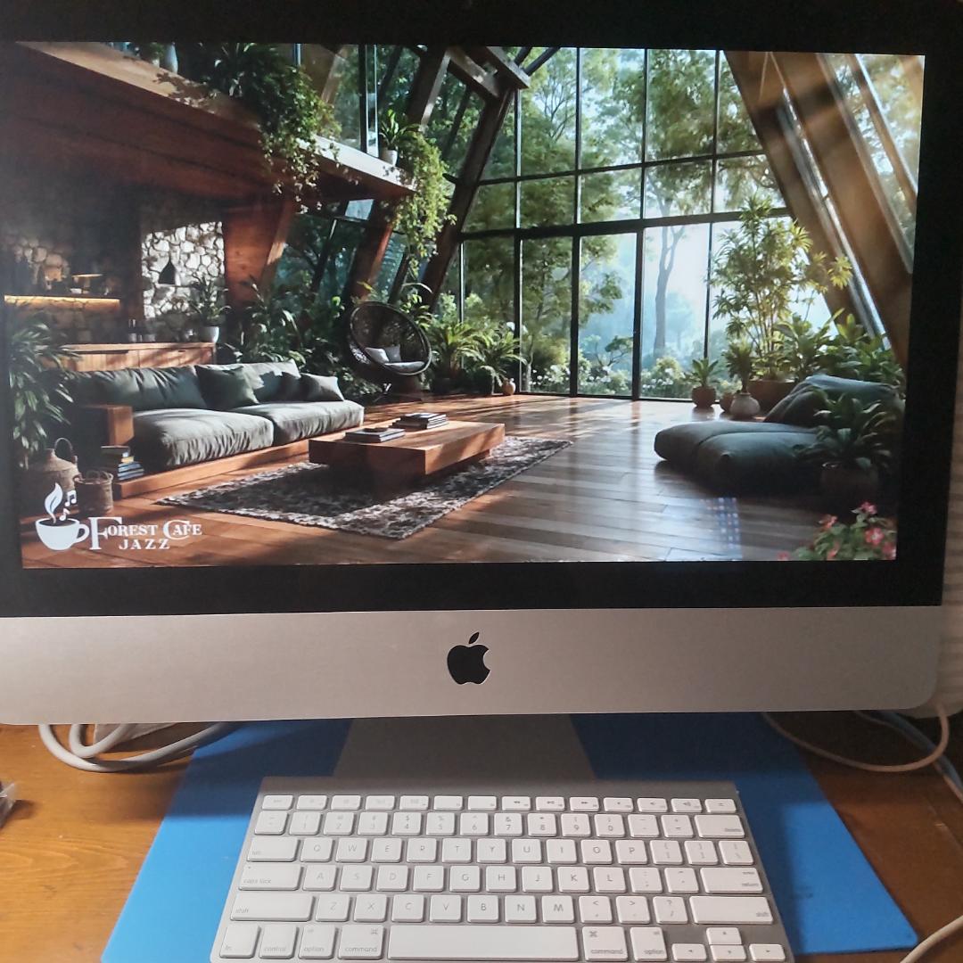 Apple iMac 21.5インチ 2011 Sequoia