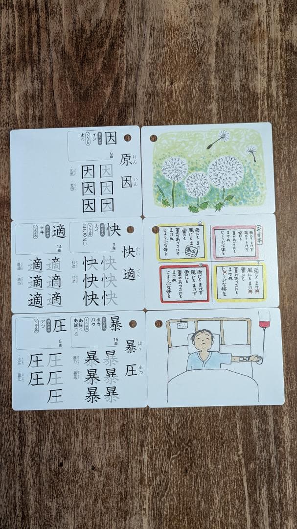 【3冊セット】改訂版 意味からおぼえる漢字イラストカード 4年5年6年 特別支援