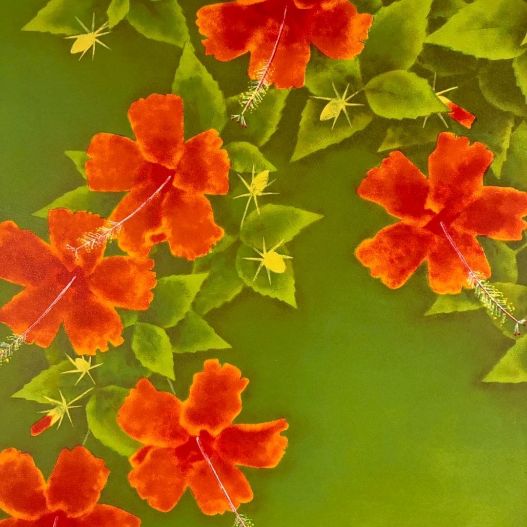 美品 上村松篁「花鳥」リトグラフ 直筆サイン入り 保証書有 上村松園の長男