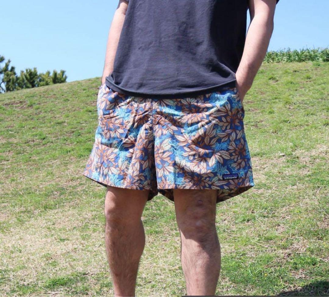 patagonia パタゴニア 20年製 バギーズショーツ 5inch HLSB