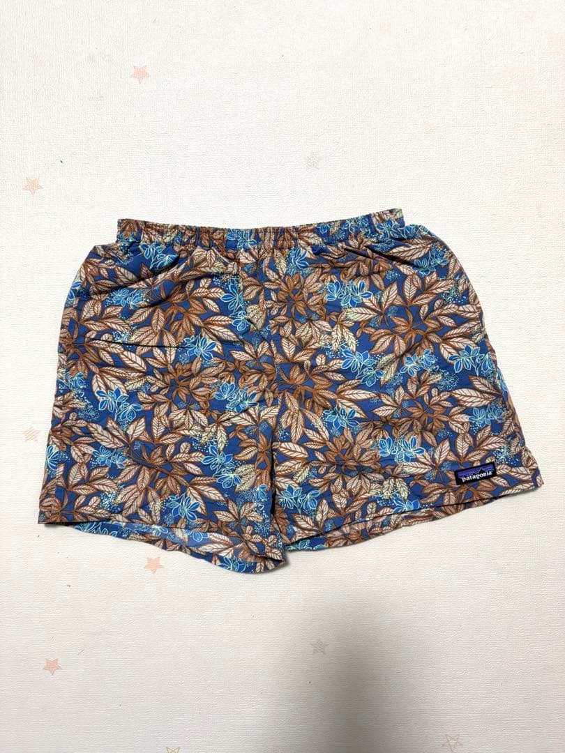 patagonia パタゴニア 20年製 バギーズショーツ 5inch HLSB