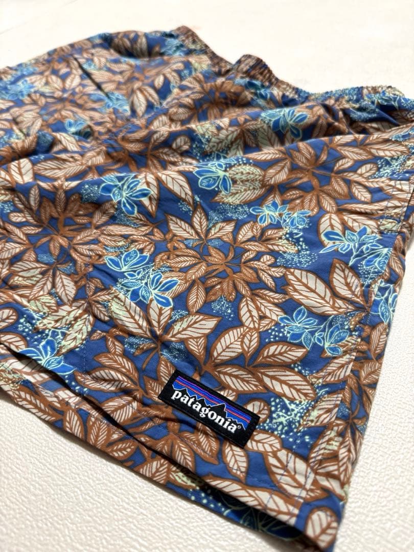 patagonia パタゴニア 20年製 バギーズショーツ 5inch HLSB