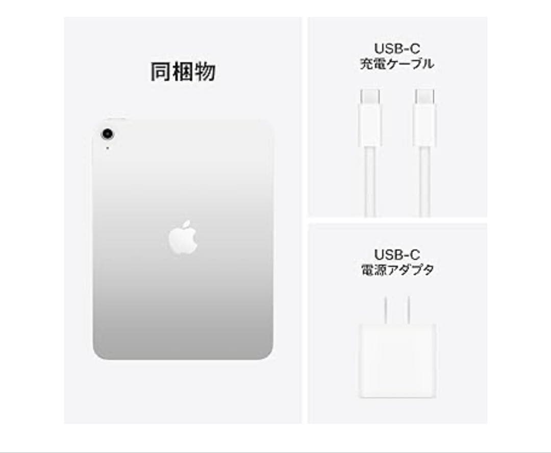 Apple 11 インチ iPad (A16): 11 インチモデル