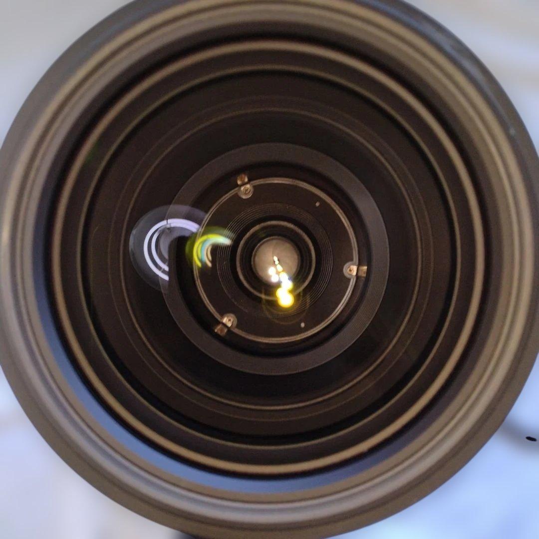 シグマ150-600mm F5-6.3 Sports ニコンF用