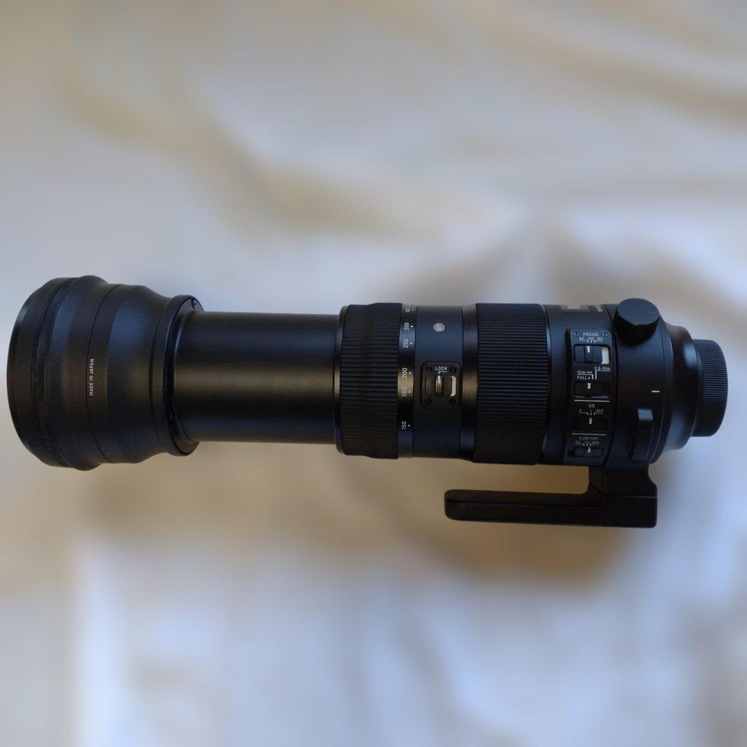 シグマ150-600mm F5-6.3 Sports ニコンF用