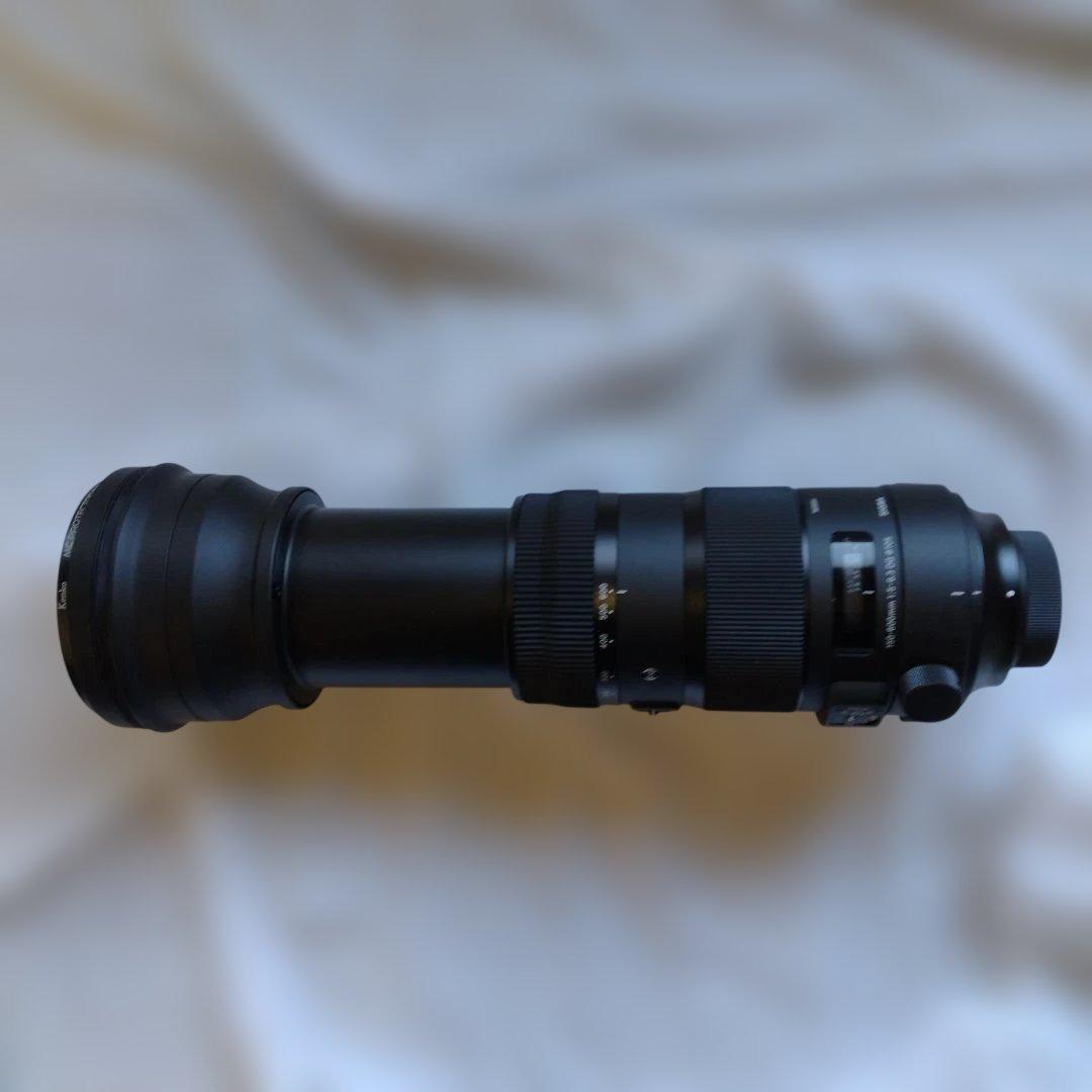 シグマ150-600mm F5-6.3 Sports ニコンF用