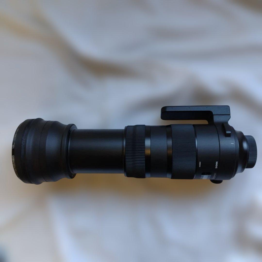 シグマ150-600mm F5-6.3 Sports ニコンF用