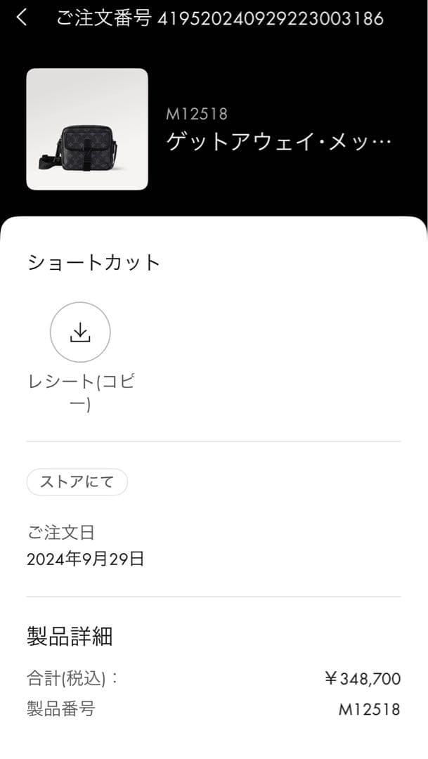 【現行品】LOUIS VUITTON ゲットアウェイ・メッセンジャー