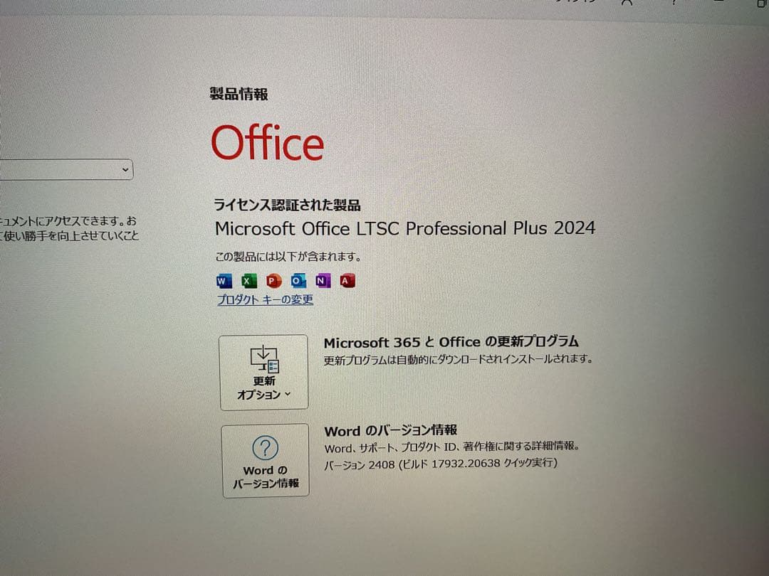 Surface Go2 LTE 8g 256g Office 2024【美品】