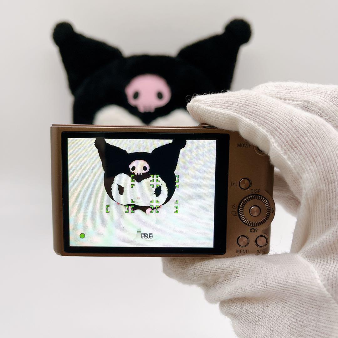 SONY サイバーショット DSC-WX300 LCJ-WD Wi-Fiモデル