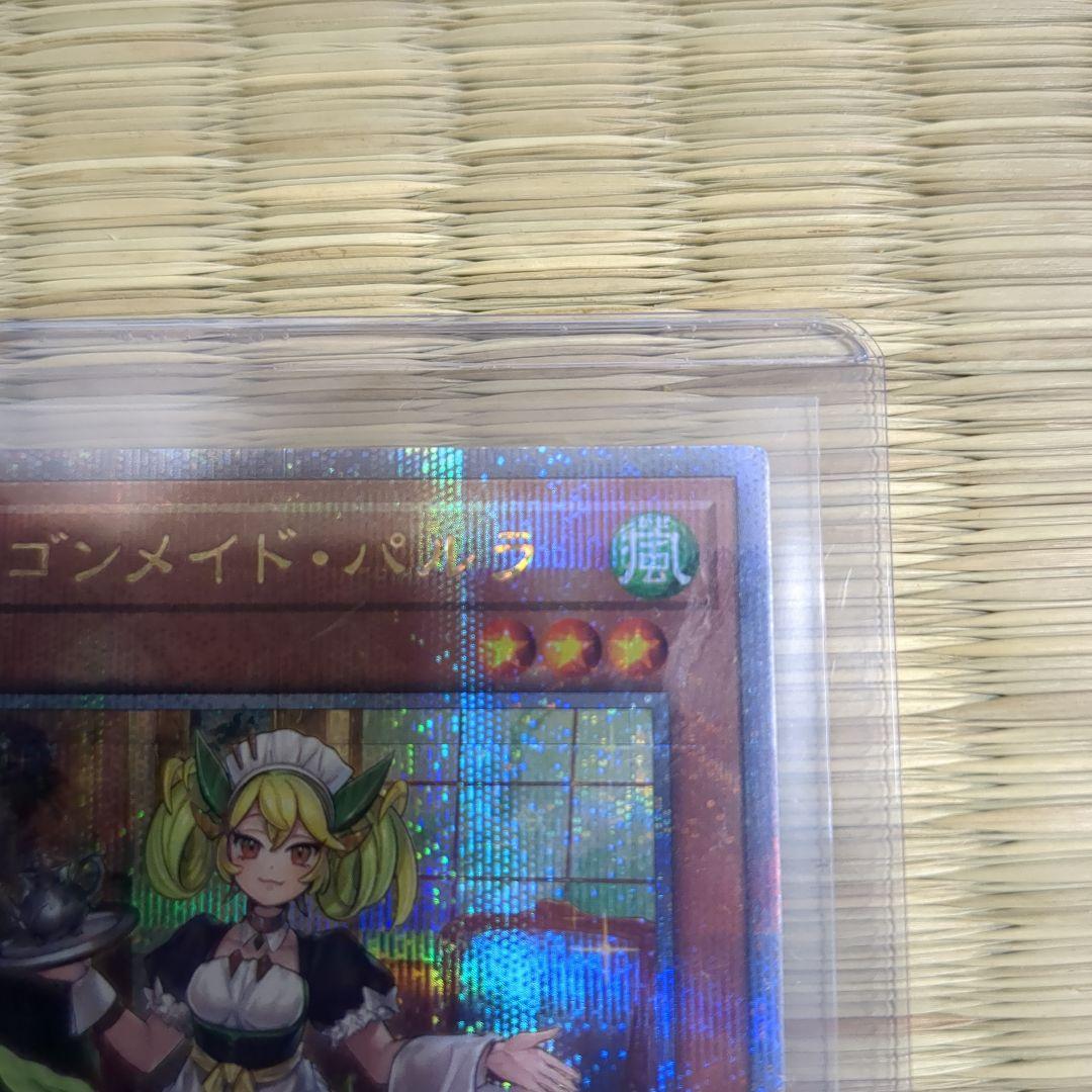 ドラゴンメイド・パルラ　25th 傷無し美品