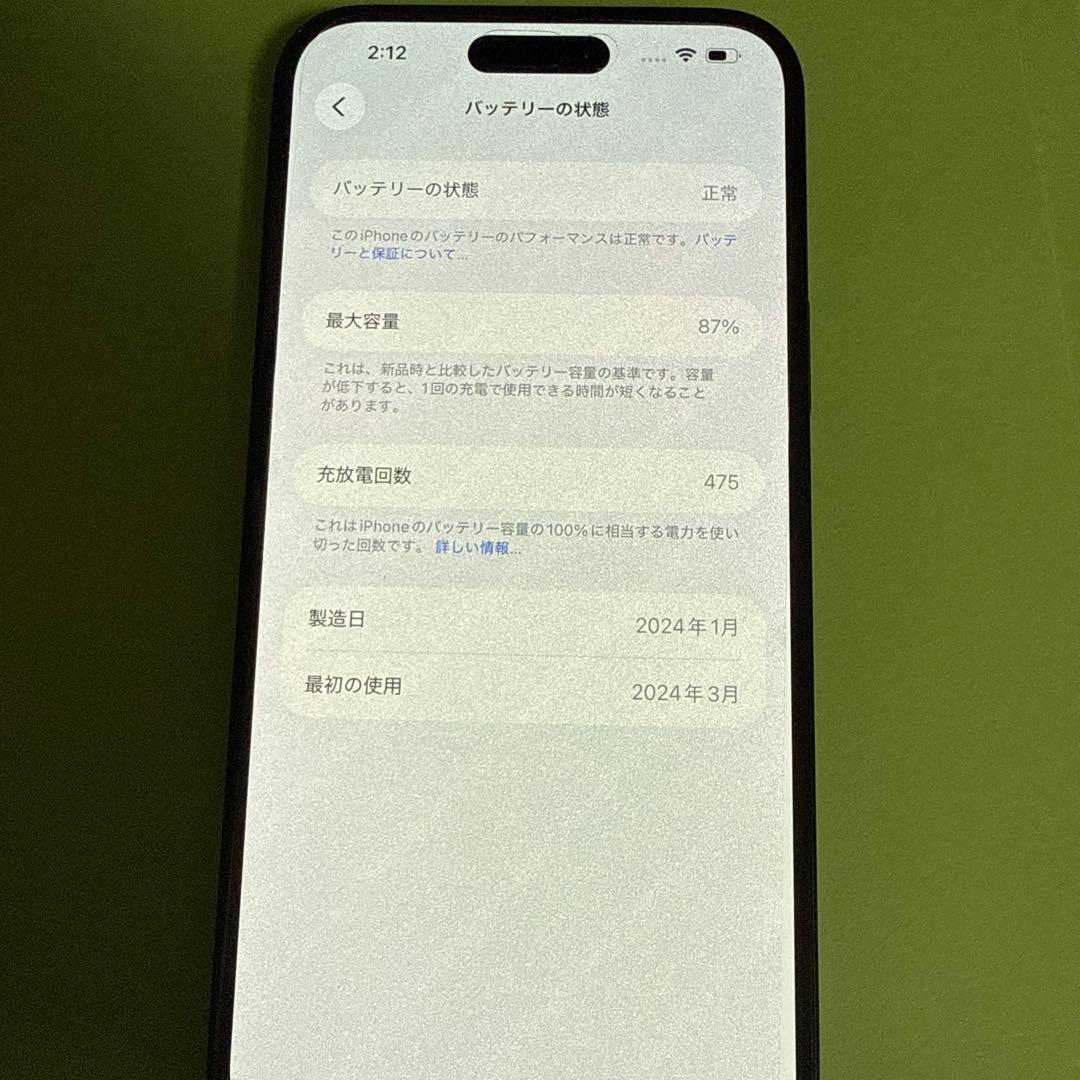 辰*巳様 Apple iPhone 15 Plus 256GB 外カメラ使用でき