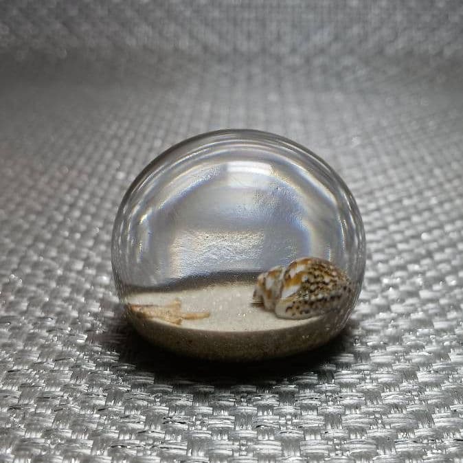 リリィ様 リクエスト 6点 まとめ商品