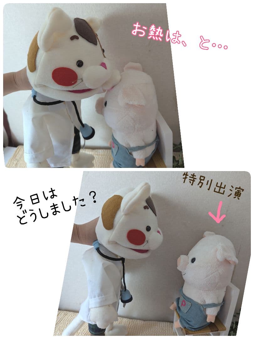 とんとん様オーダー品　ねこのお医者さんパペット　忍者　赤鬼青鬼