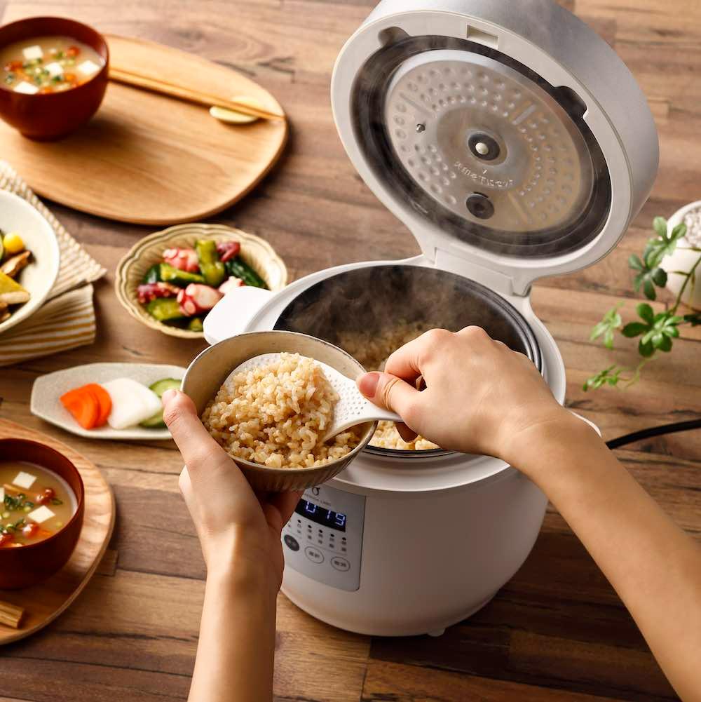 【極美品★2024年製】 発芽玄米炊飯器 ELM-102 3合炊き ホワイト