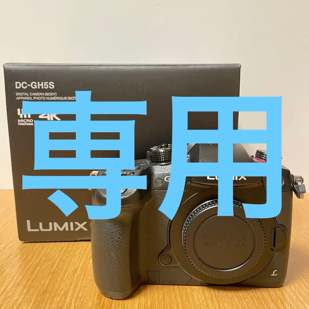 専用　　LUMIX DC-GH5S