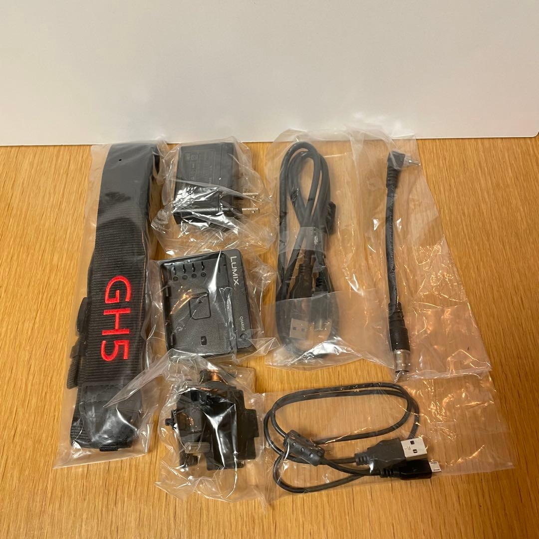 専用　　LUMIX DC-GH5S